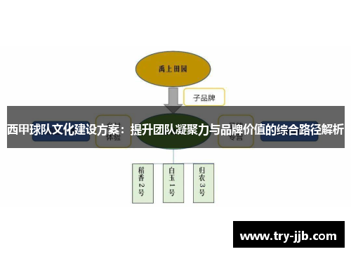 西甲球队文化建设方案：提升团队凝聚力与品牌价值的综合路径解析