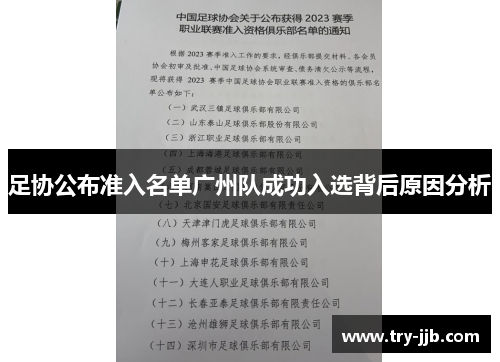 足协公布准入名单广州队成功入选背后原因分析