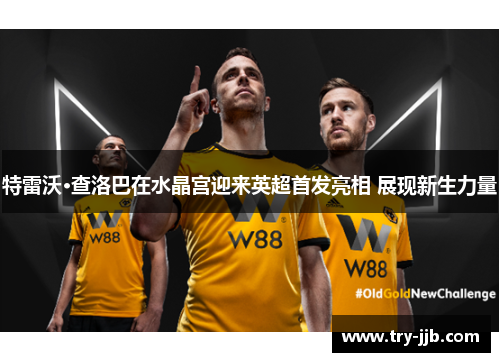 特雷沃·查洛巴在水晶宫迎来英超首发亮相 展现新生力量