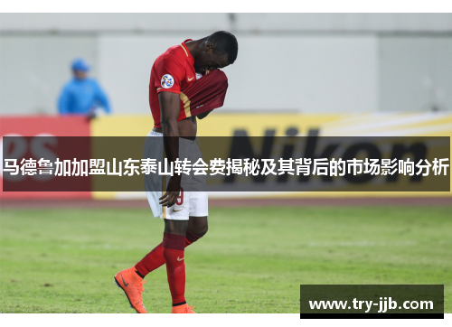 马德鲁加加盟山东泰山转会费揭秘及其背后的市场影响分析